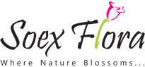 Soex-Flora-Logo
