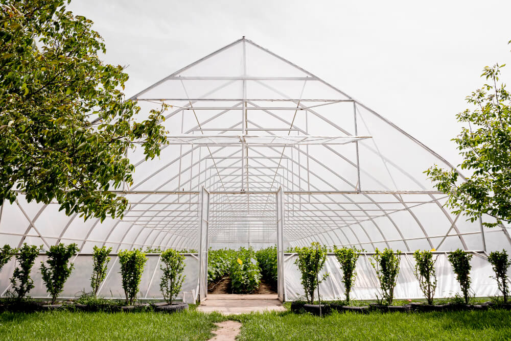 front-view-greenhouse-trees (1) (1)