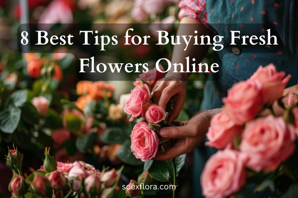 8 Best Tips for Buying Fresh Flowers Online